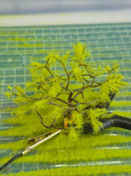 Een klein boompje met groene bladeren, geplant in mos, met een knippertje ernaast.